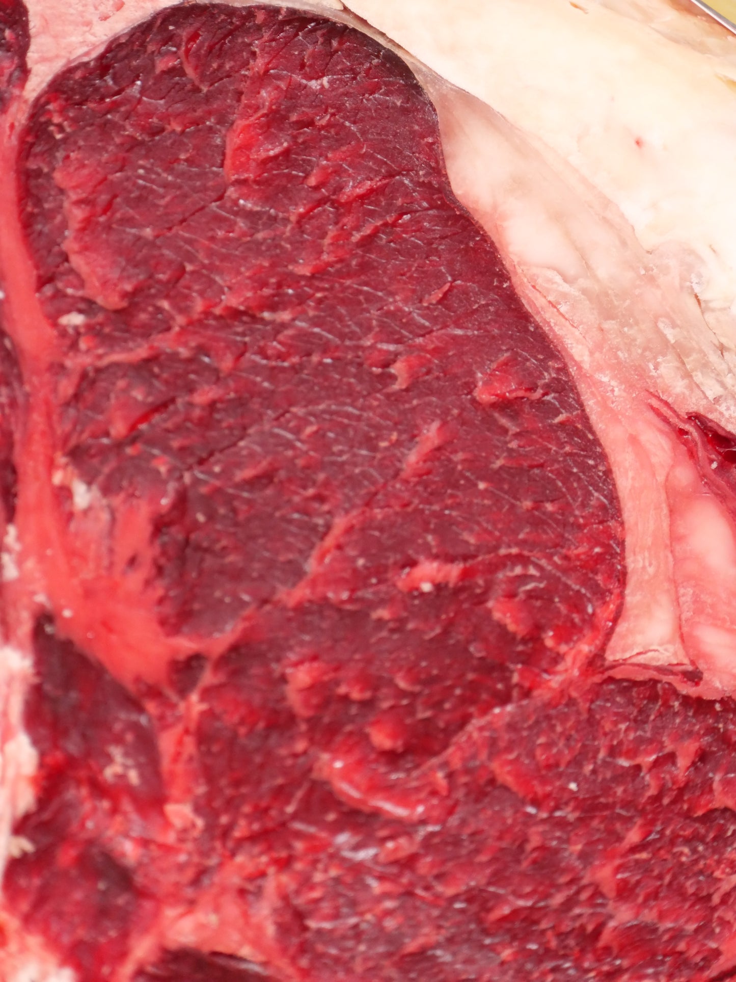 Bistecca Costata - Vacca Freya